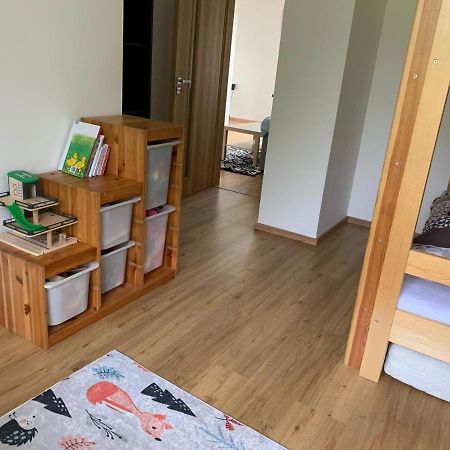 Apartman U Kunstatskeho Mlyna Orlicke Zahori Εξωτερικό φωτογραφία