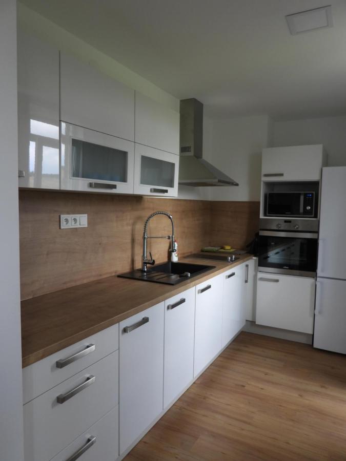 Apartman U Kunstatskeho Mlyna Orlicke Zahori Εξωτερικό φωτογραφία