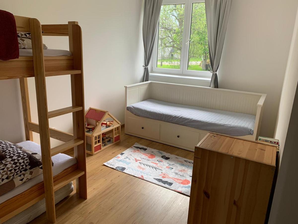 Apartman U Kunstatskeho Mlyna Orlicke Zahori Εξωτερικό φωτογραφία