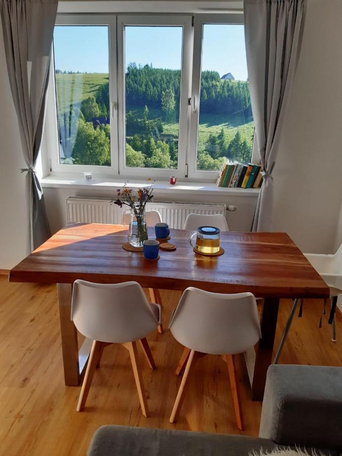 Apartman U Kunstatskeho Mlyna Orlicke Zahori Εξωτερικό φωτογραφία