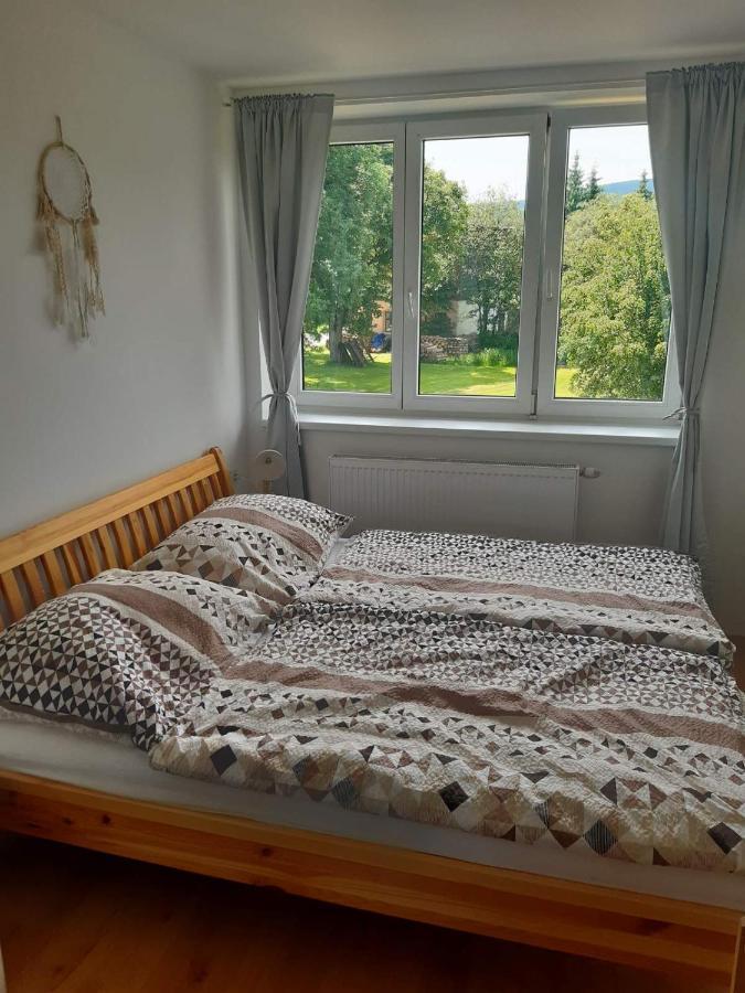 Apartman U Kunstatskeho Mlyna Orlicke Zahori Εξωτερικό φωτογραφία