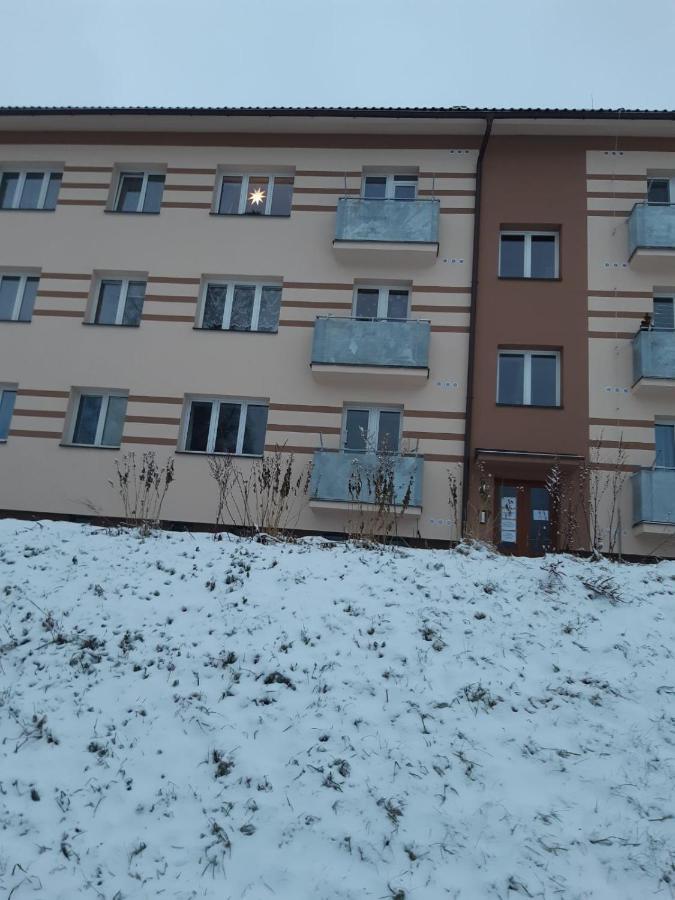 Apartman U Kunstatskeho Mlyna Orlicke Zahori Εξωτερικό φωτογραφία